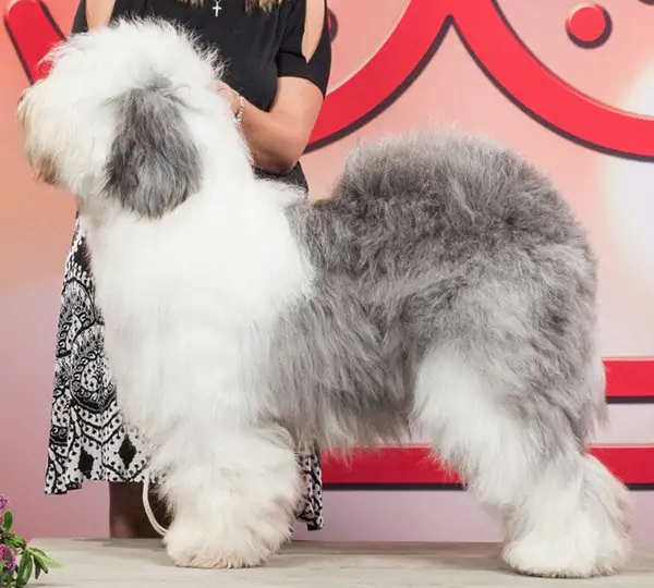 Ostwind aus dem Elbe-Urstromtal