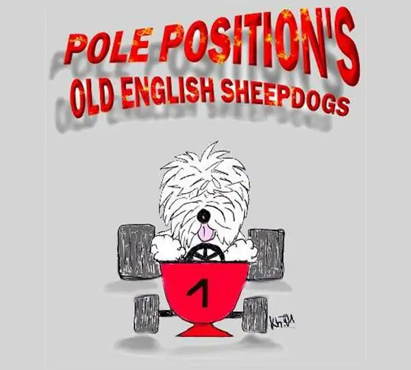 Pole-Position's