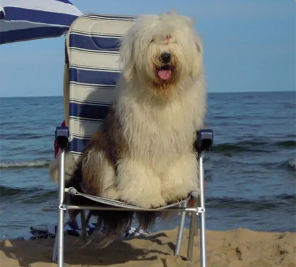 Snowboots Milk 'N Honey