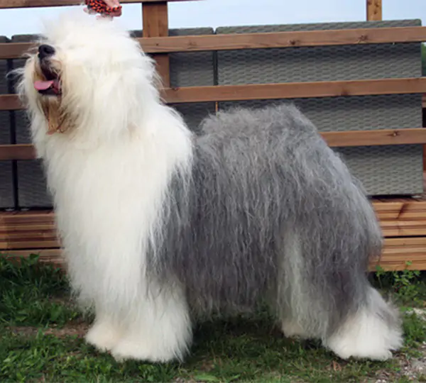 Soft Motion's By My Side