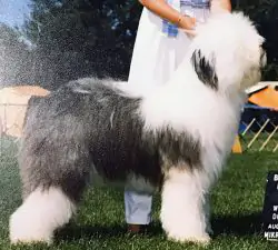 Some Buddys Storm Warning