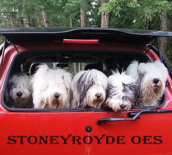 Stoneyroyde