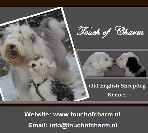 Touch Of Charm