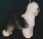 Zell am See aus dem Elbe-Urstromtal