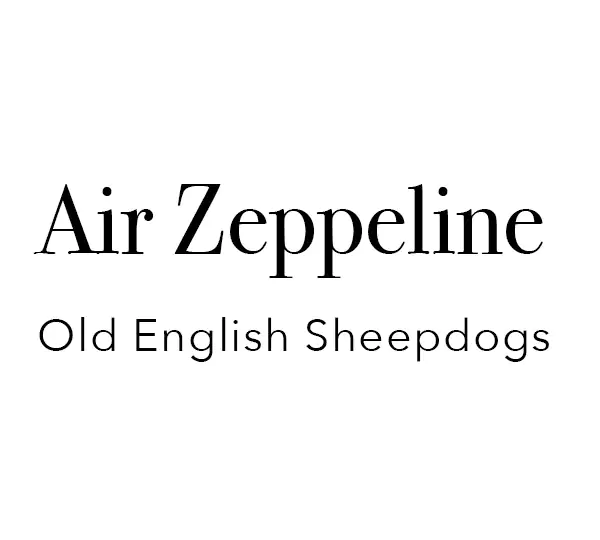 Air Zeppeline