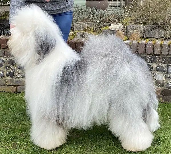 Beauvallon Jack Frost At Wilbamil