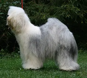 Ecstasy aus dem Elbe-Urstromtal