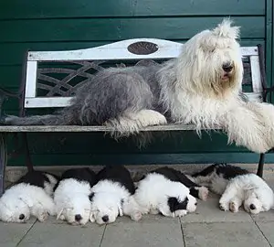 Holiday Inn aus dem Elbe-Urstromtal