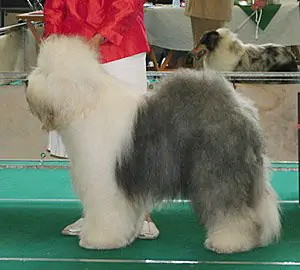 Hot'n Spicy aus dem Elbe-Urstromtal