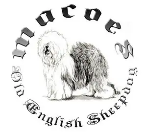 Macoes