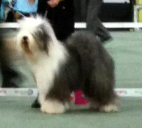 Notown's Just Ugly Betty