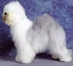 Now Available aus dem Elbe-Urstromtal