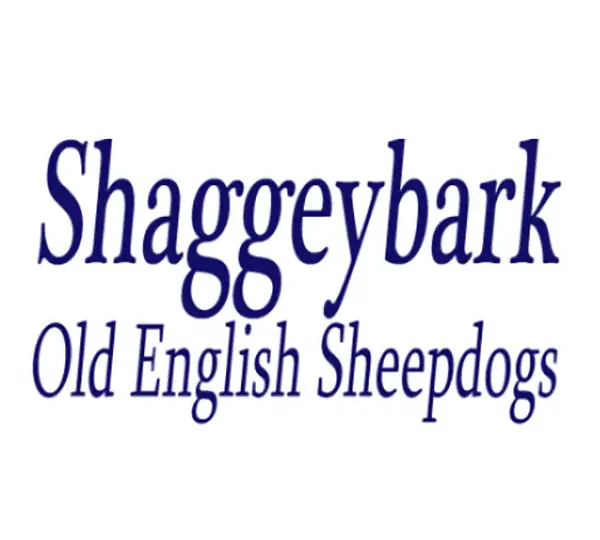 Shaggeybark