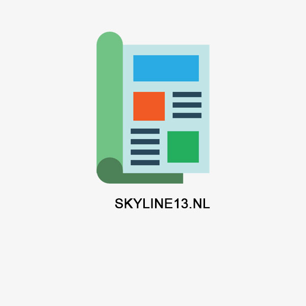 skyline13.nl DA35 – 1 blog met 2 backlinks