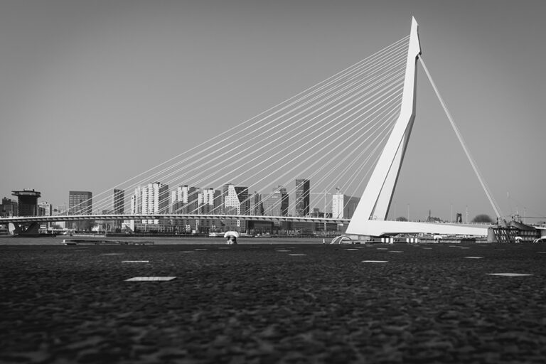 Zwart-wit foto kopen Rotterdam de zwaan afdrukken groot plexiglas