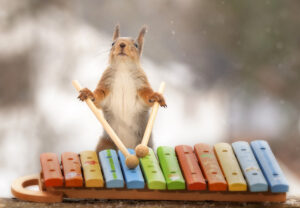 eekhoorns schattig muziek kunst voor in de woonkamer kinderkamer kopen