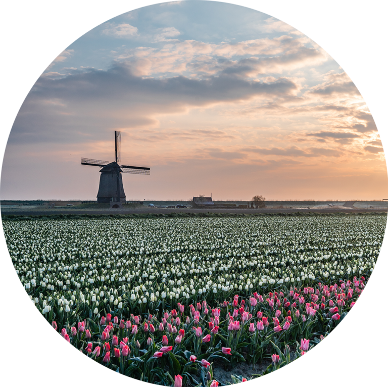 Muurcirkel behangen van natuurfoto bloemen in Nederland