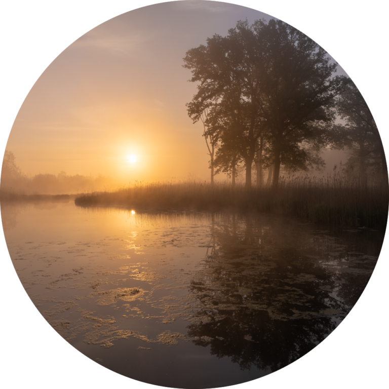 muurcirkel fotobehang prachtig natuurfoto foto plexiglas landschap meer mist te koop