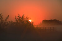 kopen prachtige natuurfoto zonsondergang roos oranje landschap afdrukken op hout